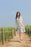 Sweet White Alyssum Dress  화이트 알리숨 원피스